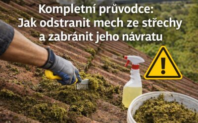 Kompletní průvodce: Jak odstranit mech ze střechy a zabránit jeho návratu